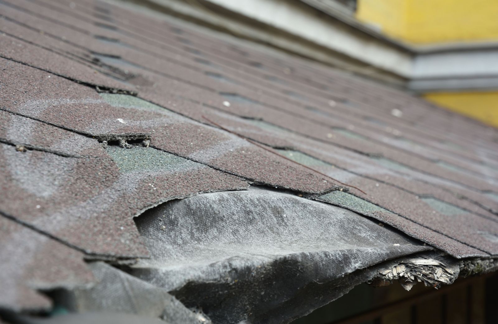 Jeranco Roofing & Exteriors Images
